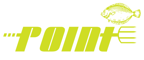 Straight To The Point Guide Service | Flounder Giggin Logo