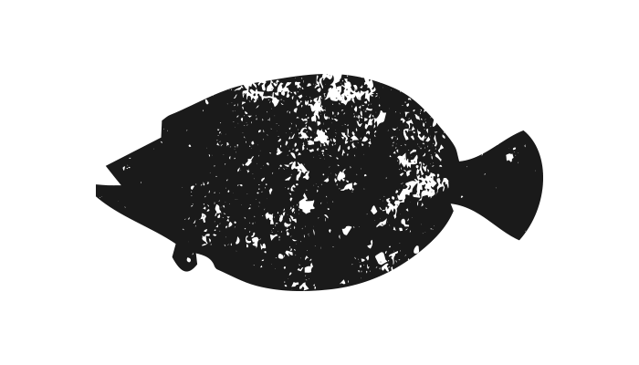 Floundericon